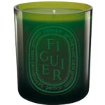 Bild von diptyque Figuier Green Color Duftkerze 300 g